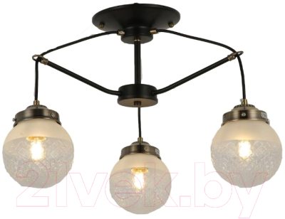 Люстра Evoluce Stricce SLE110302-03 - фото