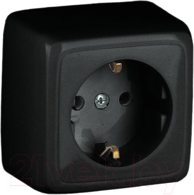 Розетка Bylectrica Пралеска РА16-254 - фото