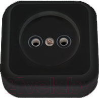 Розетка Bylectrica Пралеска РА16-255 - фото