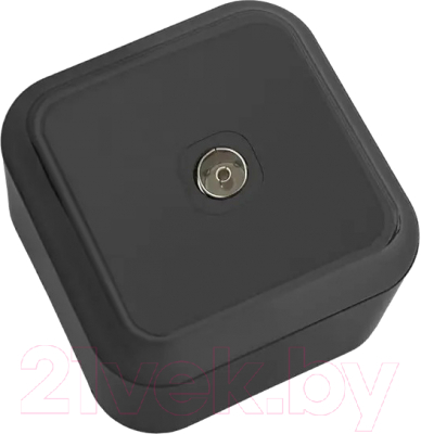 Розетка Bylectrica Пралеска ТР-037 - фото