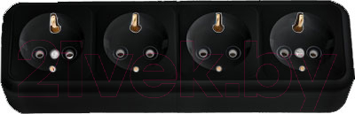 Розетка Bylectrica Пралеска РА16-266 - фото