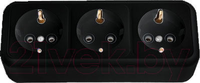 Розетка Bylectrica Пралеска РА16-265 - фото