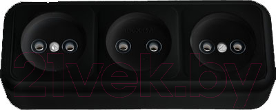 Розетка Bylectrica Пралеска РА16-263 - фото