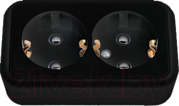 Розетка Bylectrica Пралеска РА16-261 - фото