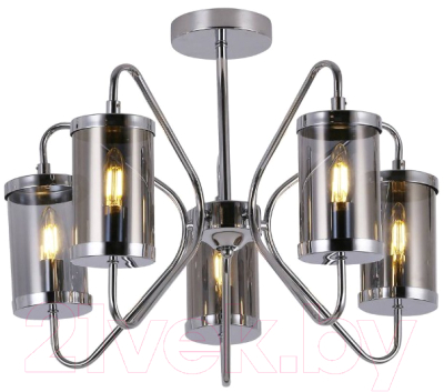 Люстра Evoluce Valieri SLE102302-05 - фото