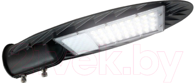 Светильник уличный JAZZway 5013735