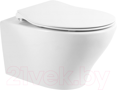 Унитаз подвесной BelBagno BB340CHR - фото