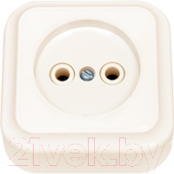 Розетка Bylectrica Пралеска РА16-255 - фото