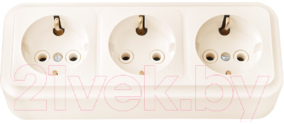 Розетка Bylectrica Пралеска РА16-265 - фото