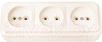 Розетка Bylectrica Пралеска РА16-263 - фото