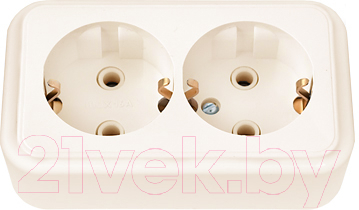 Розетка Bylectrica Пралеска РА16-261 - фото