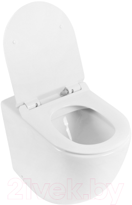 Унитаз приставной BelBagno BB2141CBR