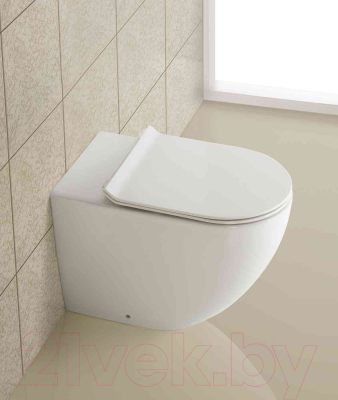 Унитаз приставной BelBagno BB2141CBR