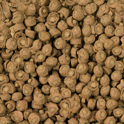 Корм для рептилий Sera Carnivor 1821