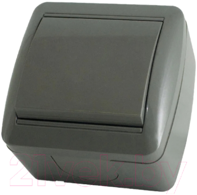 Выключатель TDM Селигер SQ1818-0101 - фото