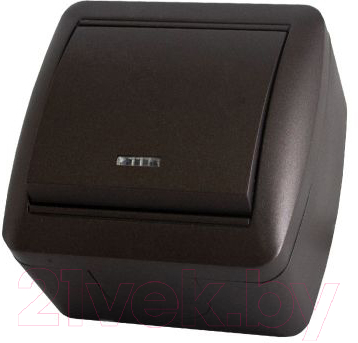 Выключатель TDM Селигер SQ1818-0203 - фото