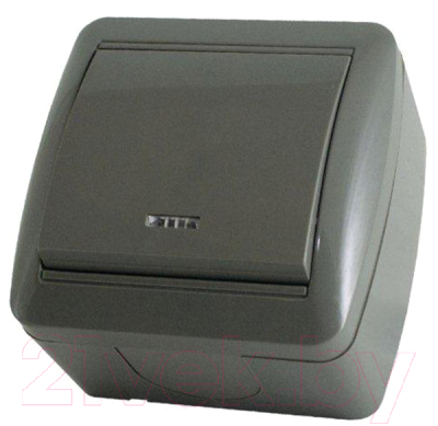 Выключатель TDM Селигер SQ1818-0103 - фото