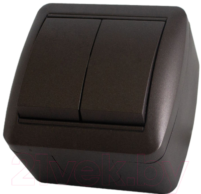 Выключатель TDM Селигер SQ1818-0202 - фото