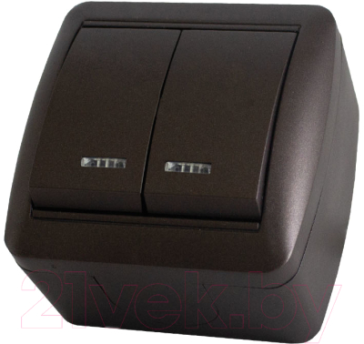 Выключатель TDM Селигер SQ1818-0204 - фото