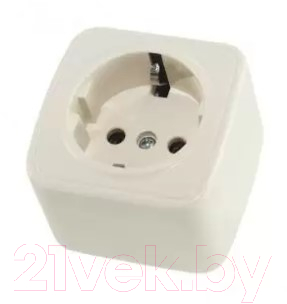 Розетка TDM Дача SQ1824-0021 - фото