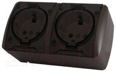 Розетка TDM Селигер SQ1818-0209 - фото