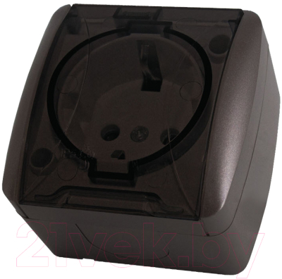 Розетка TDM Селигер SQ1818-0207 - фото