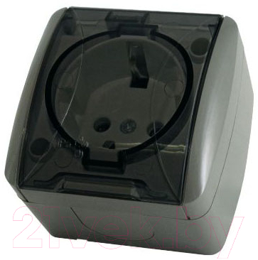 Розетка TDM Селигер SQ1818-0107 - фото