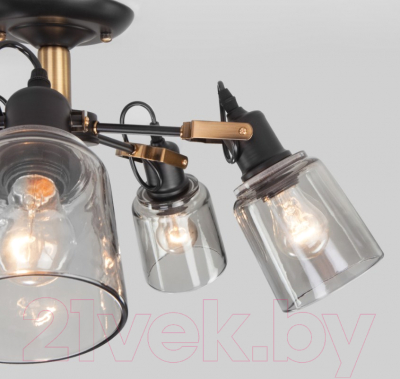 Люстра Евросвет Astor 70111/5 (черный)