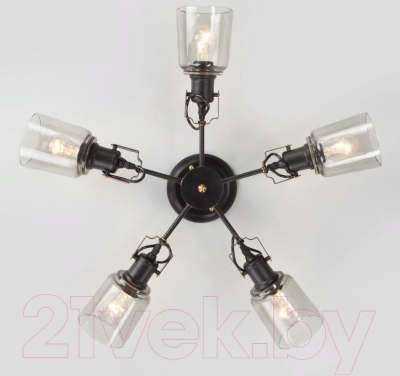 Люстра Евросвет Astor 70111/5 (черный)