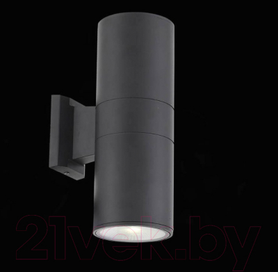 Бра уличное ST Luce Tubo2 SL074.411.02
