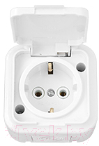 Розетка Bylectrica Пралеска аква РА16-297 - фото