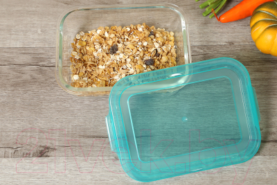 Контейнер Home Line LHB-HL-1040