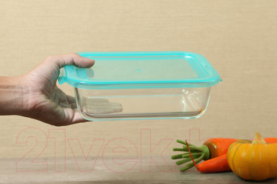 Контейнер Home Line LHB-HL-1040