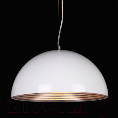 Потолочный светильник ST Luce Tappo SL279.503.01