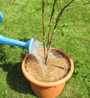 Укрывной материал No Brand Мульчаграм. Круг приствольный