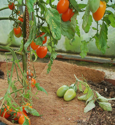 Укрывной материал No Brand Мульчаграм Мульчирующий