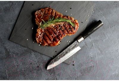 Нож Samura Blacksmith SBL-0095C