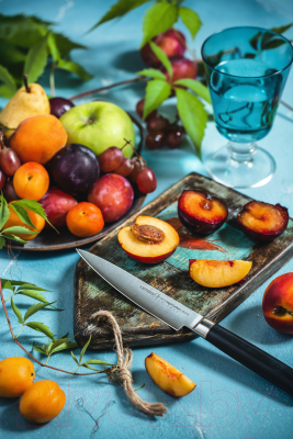 Нож Samura Mo-V SM-0021