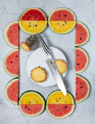 Нож Samura Reptile SRP-0087