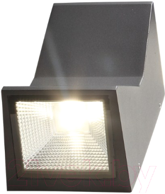 Бра уличное ST Luce Deale SL088.431.02