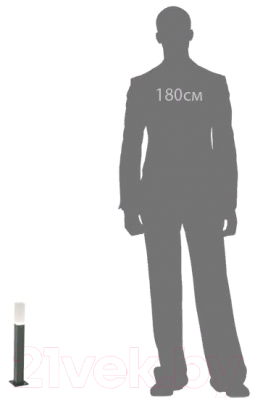 Светильник уличный ST Luce Vivo SL101.705.01