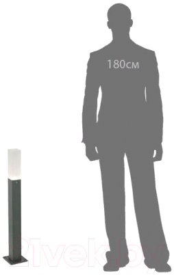 Светильник уличный ST Luce Vivo SL101.715.01