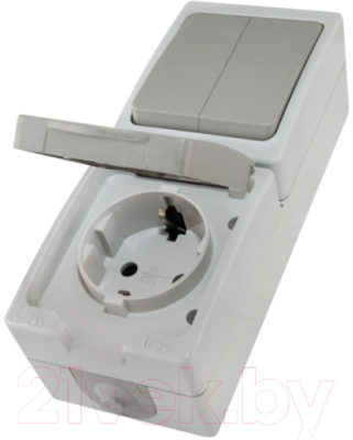 Блок выключатель+розетка TDM Вуокса SQ1803-0013 - фото