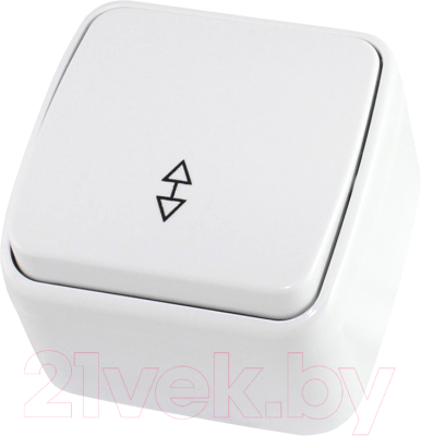 Выключатель TDM Дача SQ1824-0003 - фото