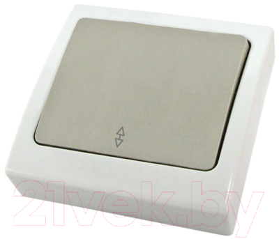 Выключатель TDM Вуокса SQ1803-0103 - фото