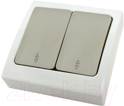 Выключатель TDM Вуокса SQ1803-0104 - фото