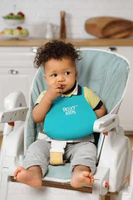 Вкладыш в стульчик для кормления ROXY-KIDS RCL-013M