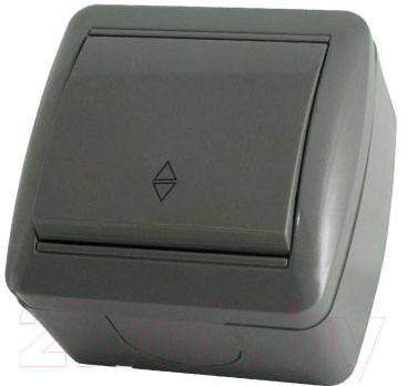 Выключатель TDM Селигер SQ1818-0111 - фото