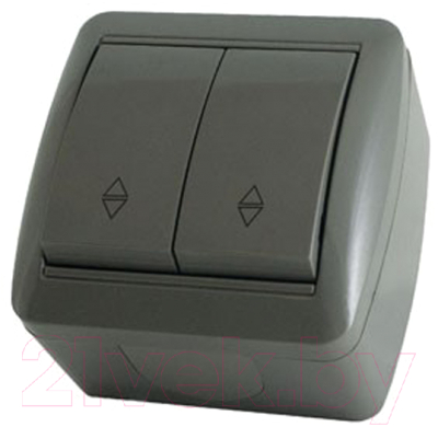 Выключатель TDM Селигер SQ1818-0112 - фото