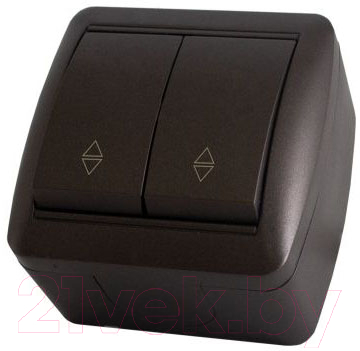 Выключатель TDM Селигер SQ1818-0212 - фото